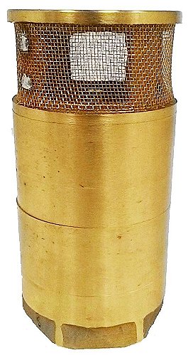 Válvula de Pé - 2"