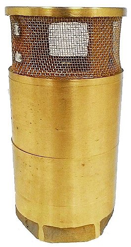 Válvula de Pé - 2"